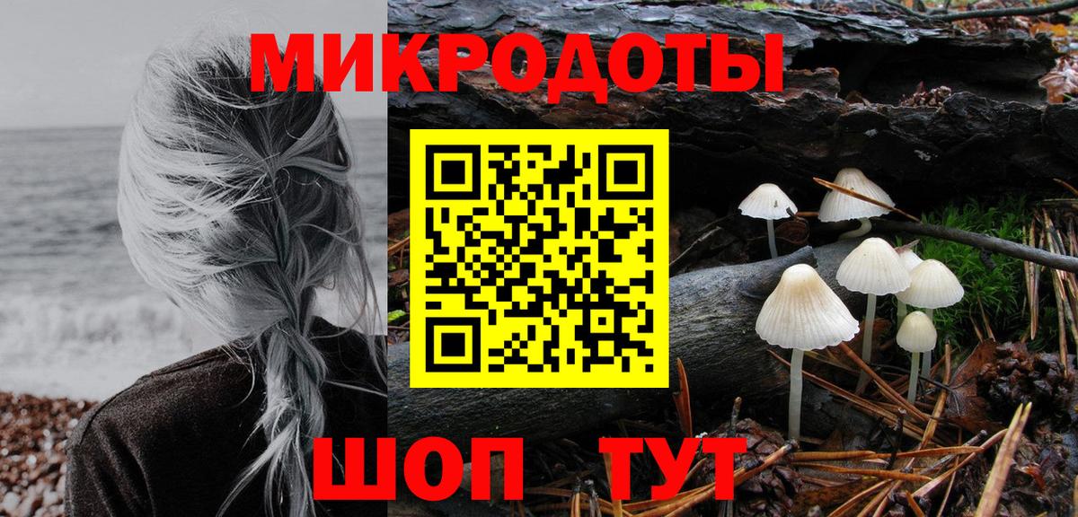 Псилоцибиновые грибы GOLDEN TEACHER Нефтекумск